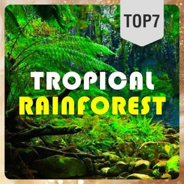 Tropical　Forest（トロピカルフォレスト）リキッド