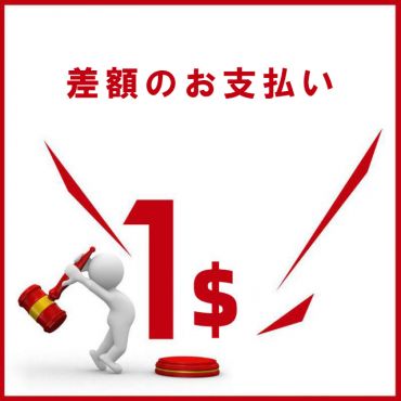 差額のお支払い専用