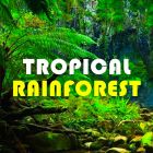 Tropical　Forest（トロピカルフォレスト）リキッド